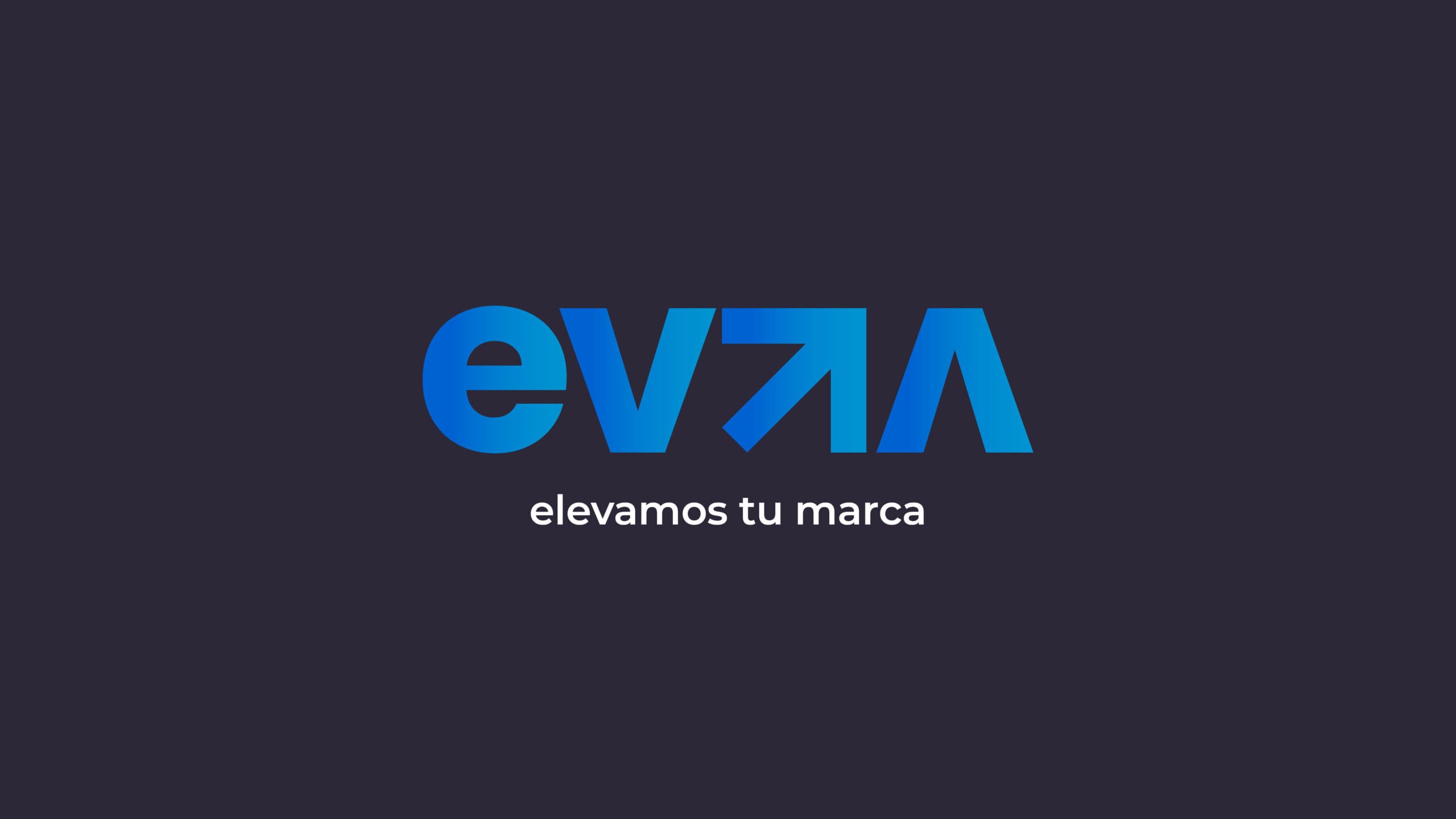 Manual de identidad visual - portada